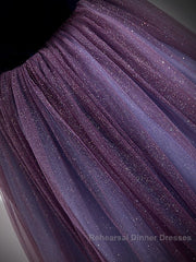 A-Line Semi Formal Prom Dresses Sparkle & Shine Dress Semi Formal Prom Floor Length Short Sleeve Scoop Neck Tulle With Sequin