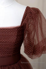 Brown Tulle Floor Length Semi Formal Prom Dress, A-Line Short Sleeve Evening Party Dress