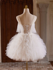 Cute Tulle Lace Light Champagne Short Semi Formal Prom Dress, Cut Homecoming Dress