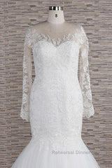 Long Sleeve Mermaid Sweetheart Appliques Lace Backless Wedding Dresses