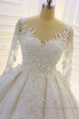 Sparkle 3D Lace Appliques Long Sleevess Church Train Wedding Dresses